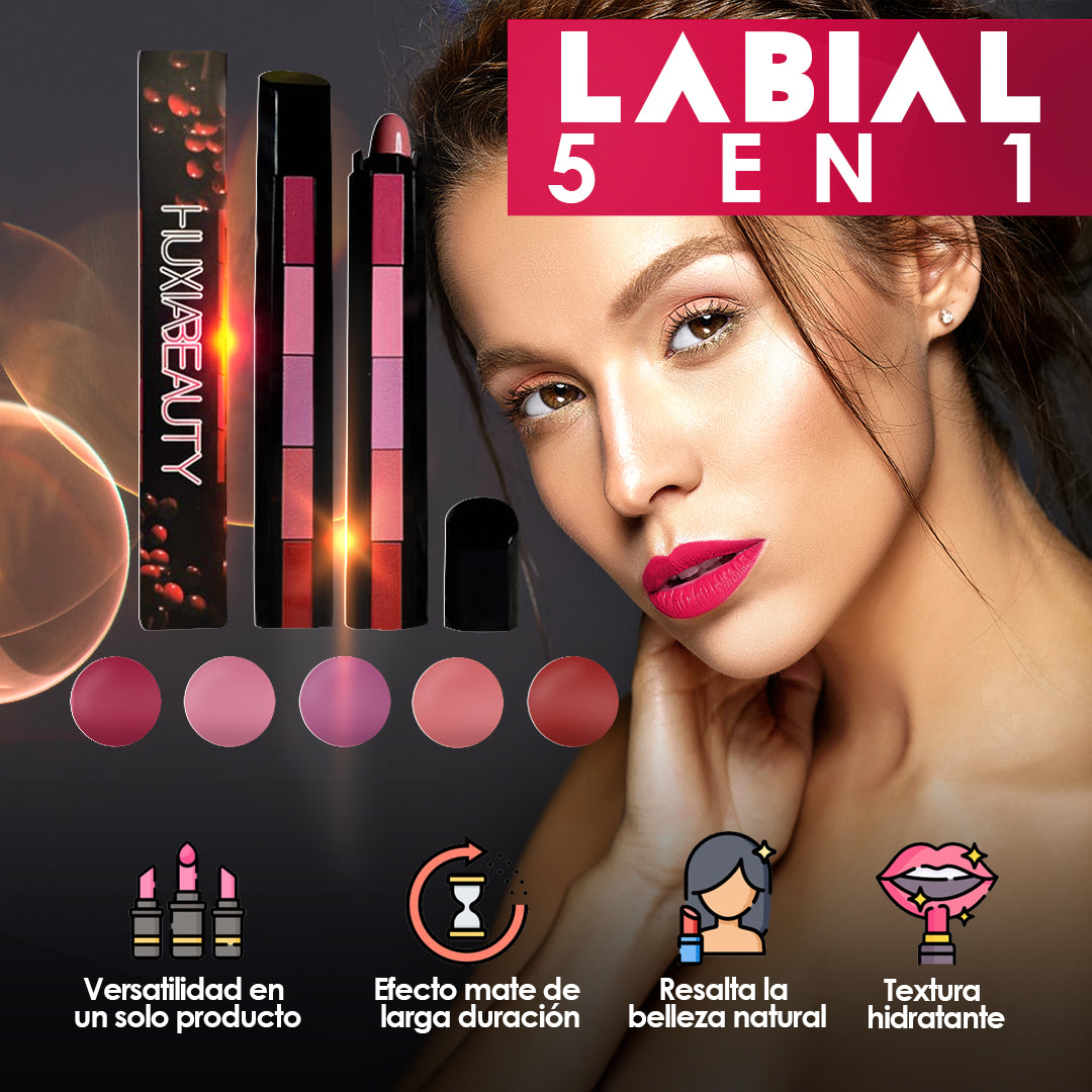 💄Labial Lipstick 5 en 1