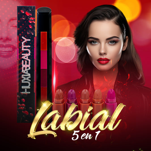 💄Labial Lipstick 5 en 1